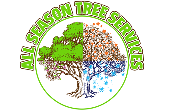 ALL SEASONS TREE SERVICES