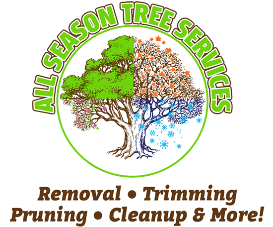 ALL SEASONS TREE SERVICES - Professional Tree Services