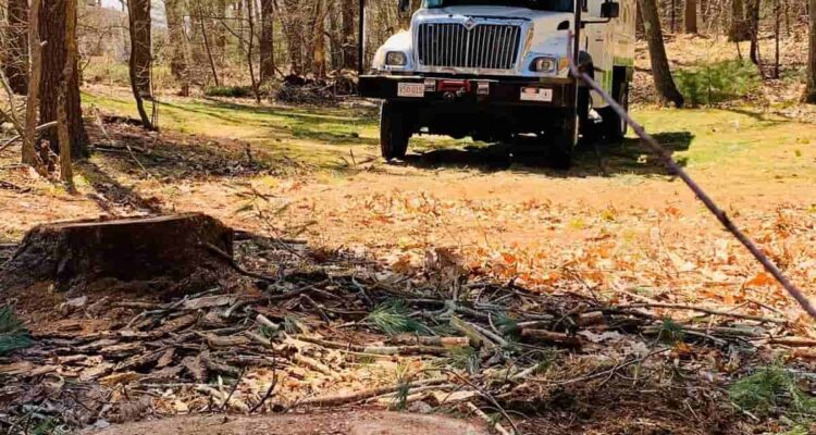 Leaf Removal