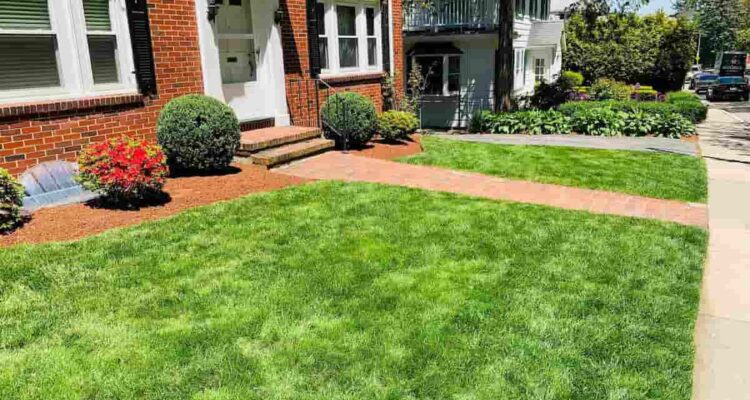 Sod Installation